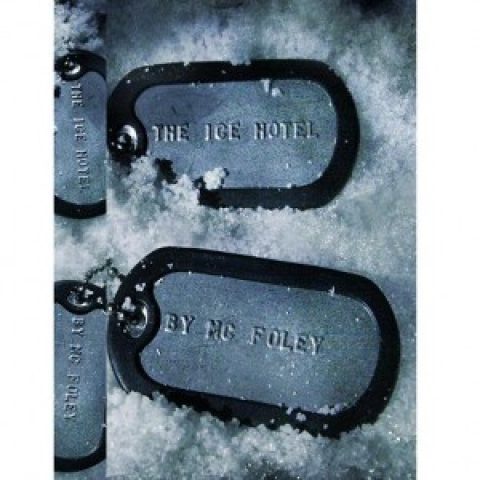 Author Q&A: MC Foley, “The Ice Hotel”