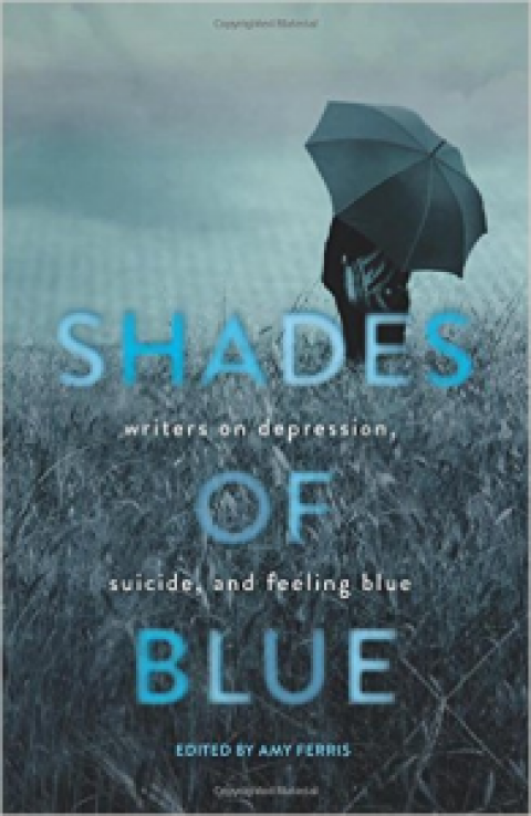 Author Q&A: Amy Ferris, Editor, “Shade of Blue”