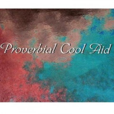 Author Q&A: Musicians from Blues/Rock Band “Proverbial Cool Aid”